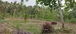 നടയറ ശിവഗിരി റോഡിൽ 27സെന്റ് വസ്തു വിൽപ്പനയ്ക്ക്
