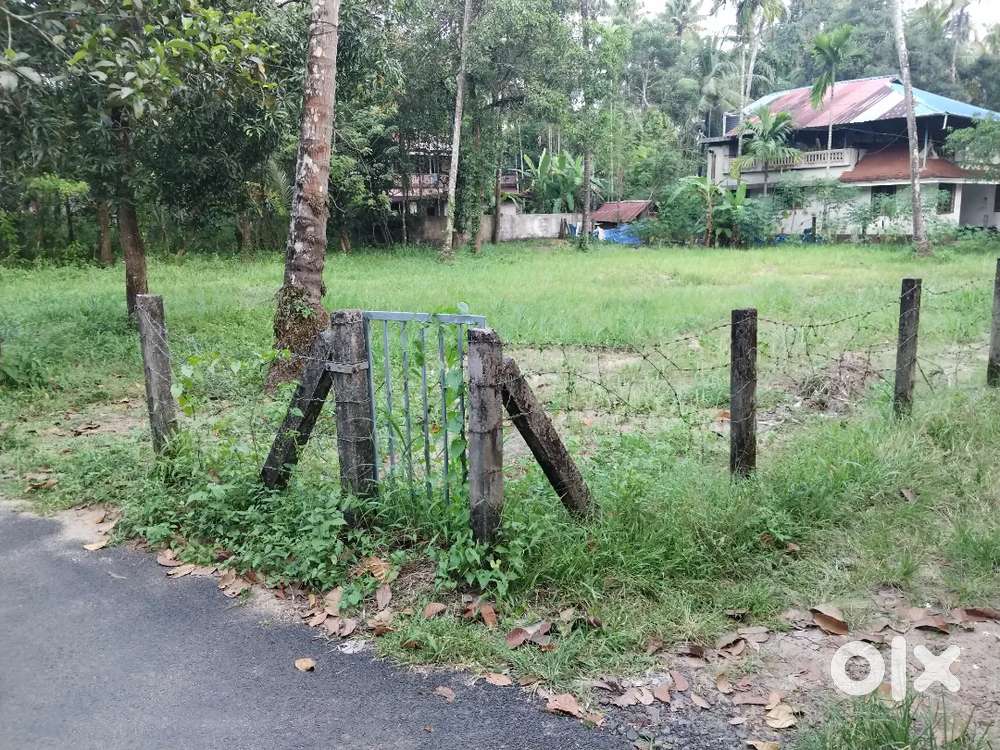 House plot for sale