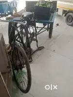 Thela cycle redi