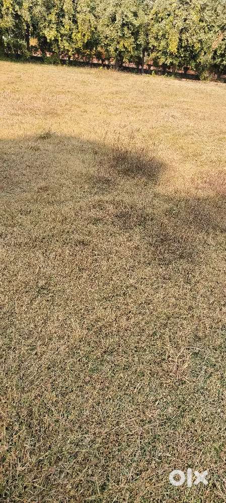 200 yards plot Jonapur, Chattarpur Gpa plot size. 30*60