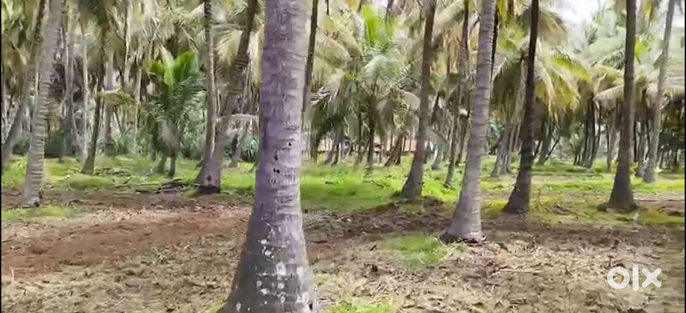 13 Gunta Land for Sale – Aralalu Sandra Village, Kanakapura