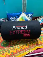 Pronod Extreem Two 12 inch Basstube with Inbuilt Amplifir