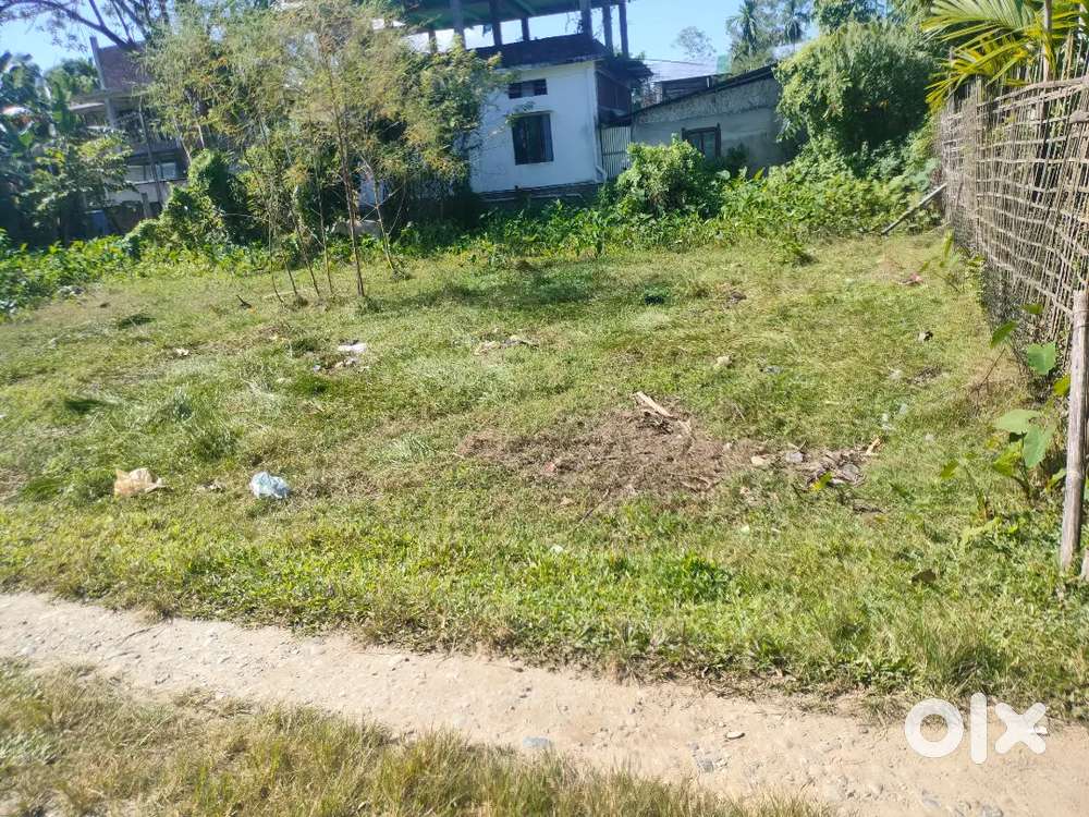 Half Kotha Myadi Patta High Land Urgent Sale