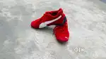 speed cat shoe