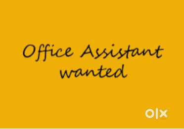 Need Office and Personal Assistant