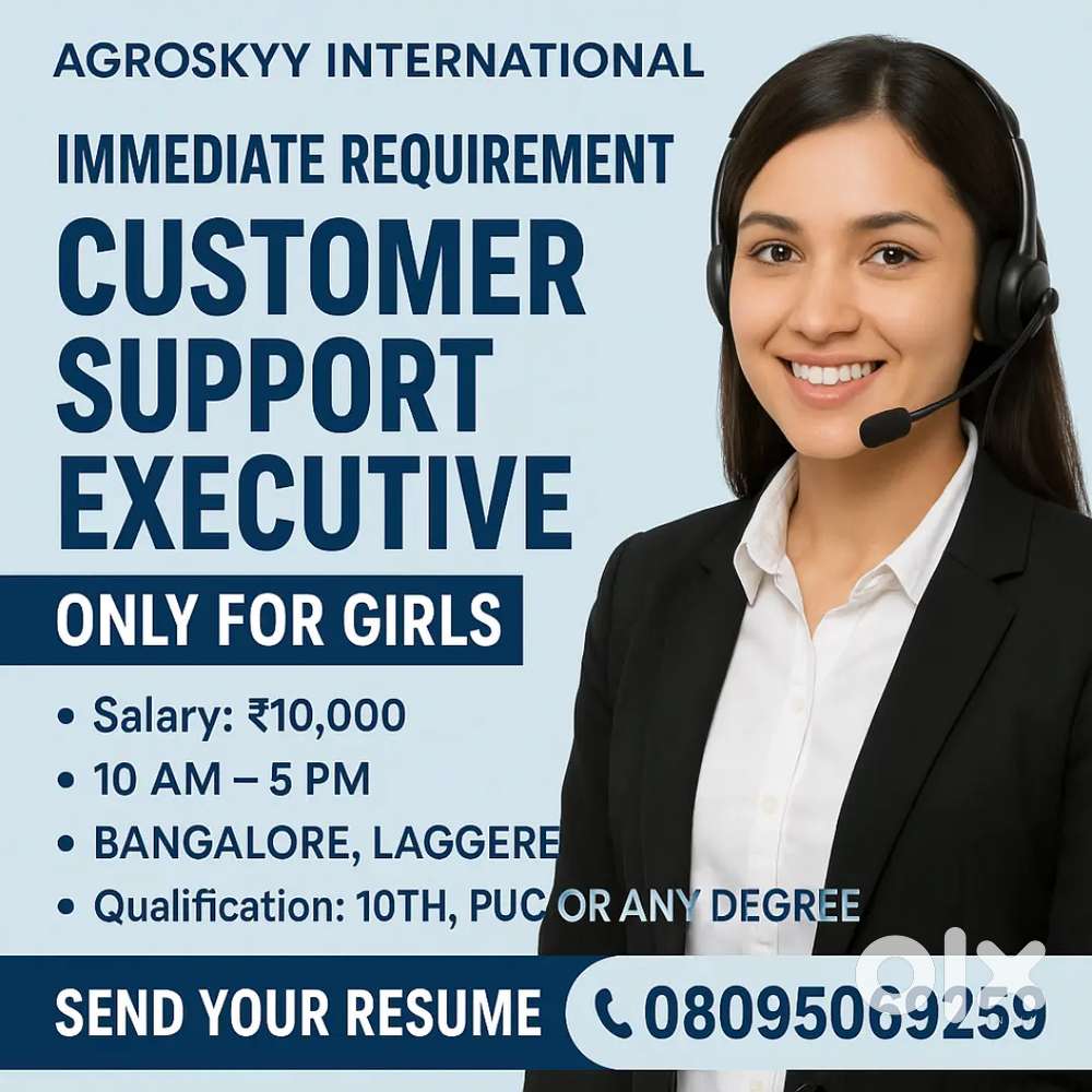 Customer Support Executive