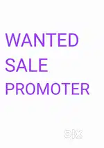 Sale exicutive