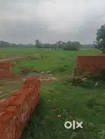 Plots hi plot
