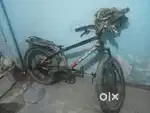 Canberra cycle