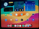Apple iPad Pro M4 13-inch WiFi 256GB - less than 1 year old i pad