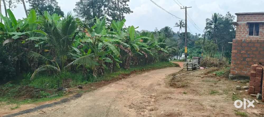 Kothamagalam - Kuthukuzhi 15 Cent, Posh Residential plot for sale