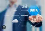 Fix salary or incentive data collection jobs