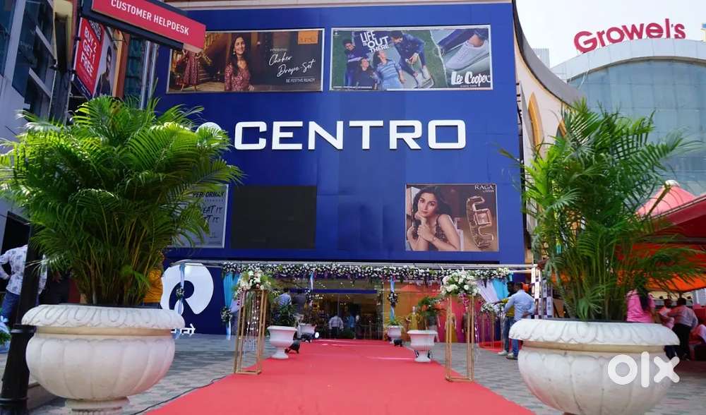 SALES EXECUTIVE NEEDED