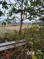Plot at nh side nayagarh