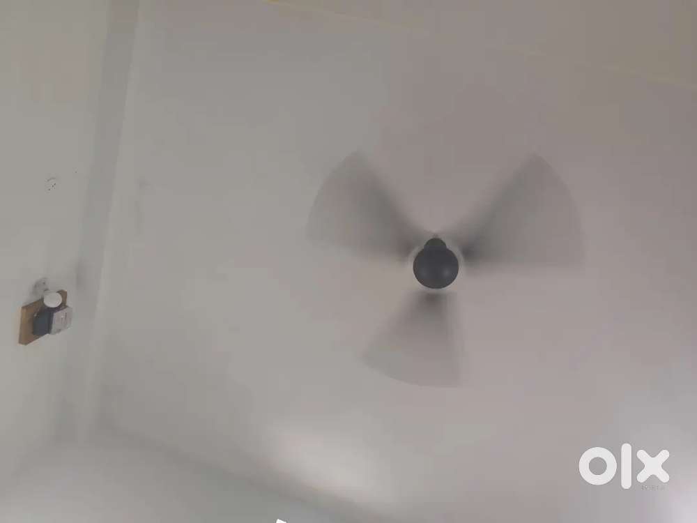 Ceiling fan