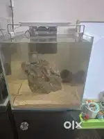 1ft cube tank with cabinet