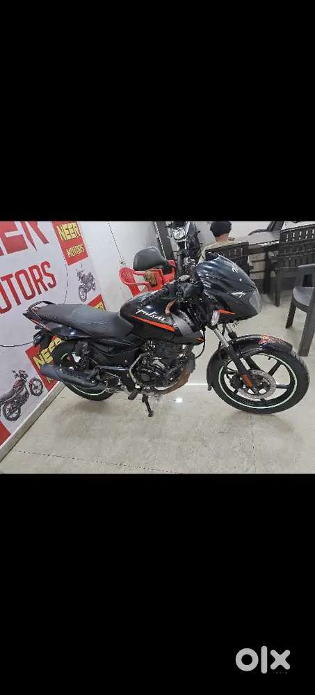Full brand new condition pulser 125 cc