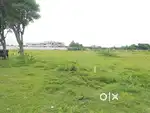 Maraimalaingar Gokulapuram low budget DTCP Plot for sale just 1600Rs.