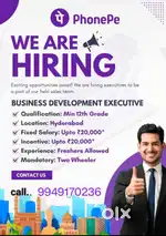 Phonepe privt limited company