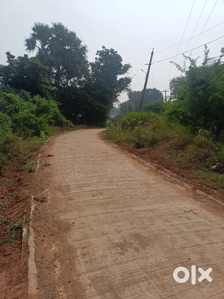 50 cents  agriculture land