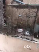 Cage not much use like new