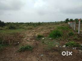 Factory / Tabelo Agri land