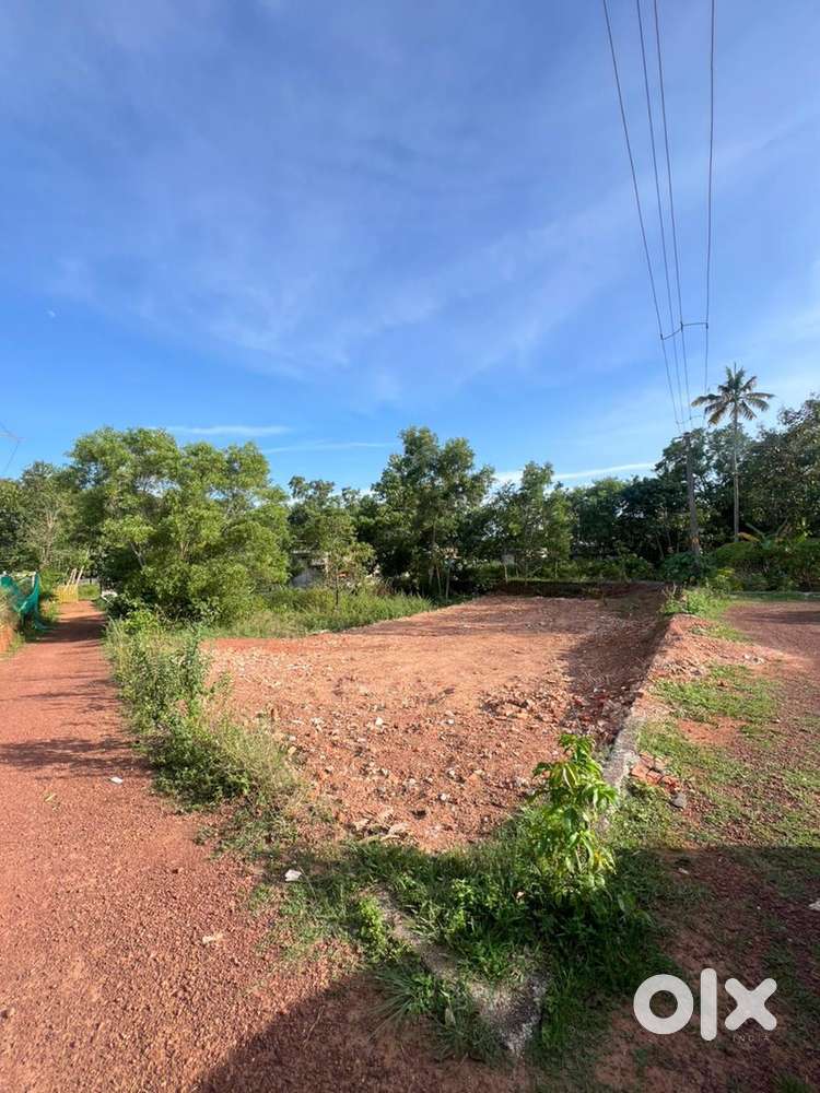 11 cent plot for sale