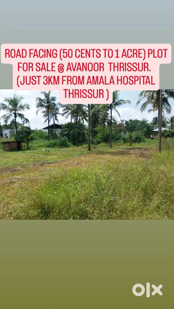 ROAD FACING( 50 CENTS TO 1 ACRE )LAND FOR SALE @AVANOOR THRISSUR