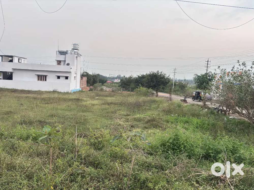 Premium site for sale 52*35