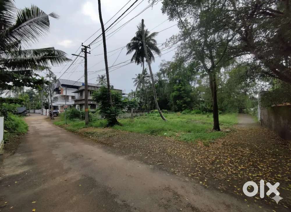 PREMIUM HOUSE PLOT

MARADU, ERNAKULAM