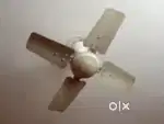 Ceiling fans