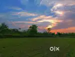 Mujhe naukari chahiye kisi ke ghar me rahke kam Krna h sab kam kruga