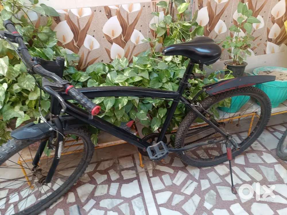 Good condition cycle