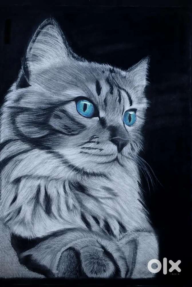 Hyper-Realistic Charcoal Cat Sketch (A3 Size)