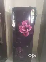 Rampur Garden Gujral Appartment flt nbr 307