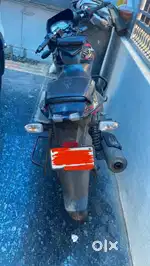 Pulsar 150 cc TN 49 CF