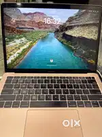 Apple macbook air gold edition