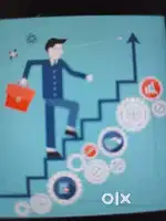 Sales Executive