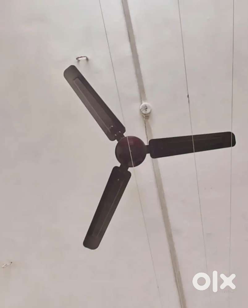 2 Ceiling Fan