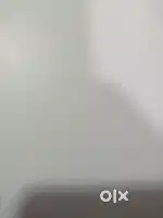 Bpo job in Panchkula