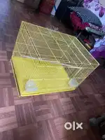 Birds cage for Rs 1000