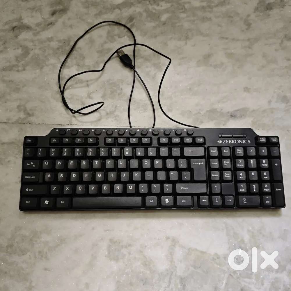 Zebronics multimedia Keyboard