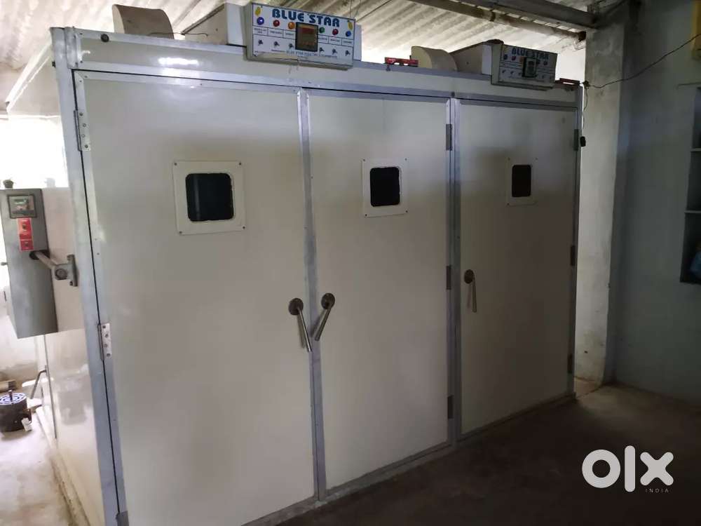 Fully automatic Poultry Incubators/Hatchery