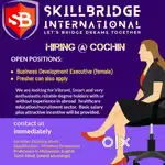 HR executive at SkillBridge International