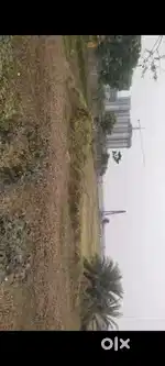 75Bigha Land Available for sale on Kamdhenu Panchayat Road