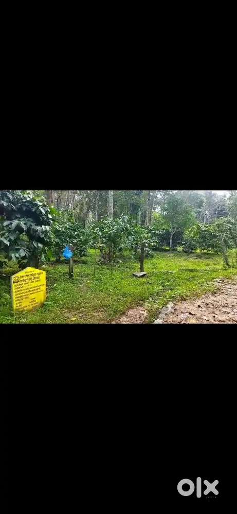 Plot for Sale of 28 cents, to construct home stay and cottage