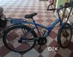 Hercules Cycle