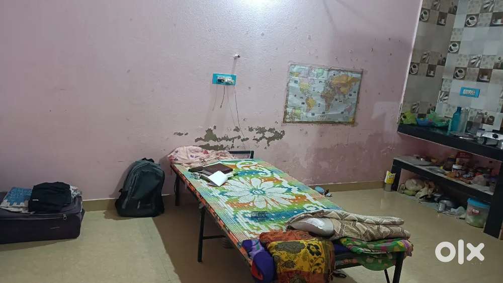 Needed a girl  roomate