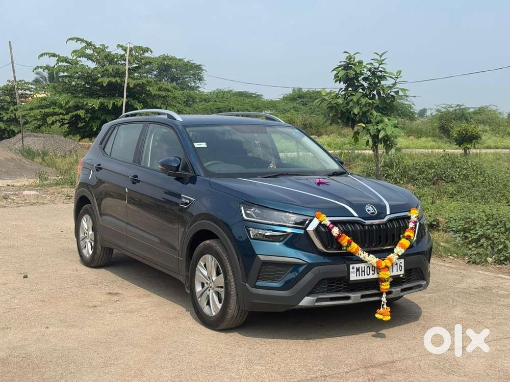 Skoda Kushaq 2024 Petrol Well Maintained