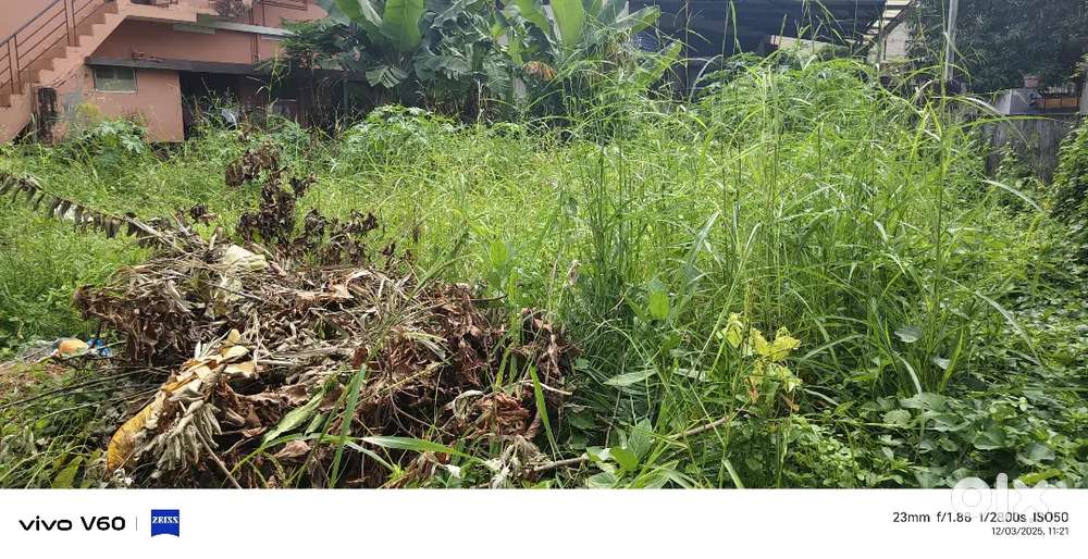 6 CENT PRIME RESIDENCIAL PLOT FOR SALE NEAR CHALAKUZHI MEDICAL COLLEGE